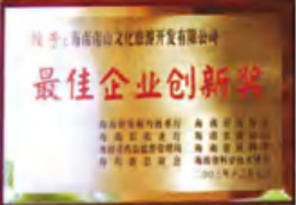 最佳企业创新奖