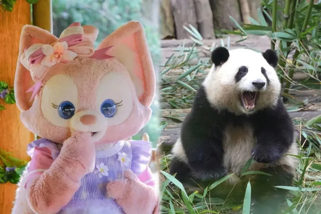 图片8.png