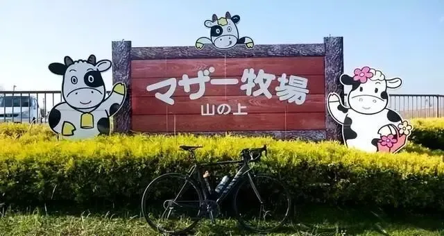 图片11.png